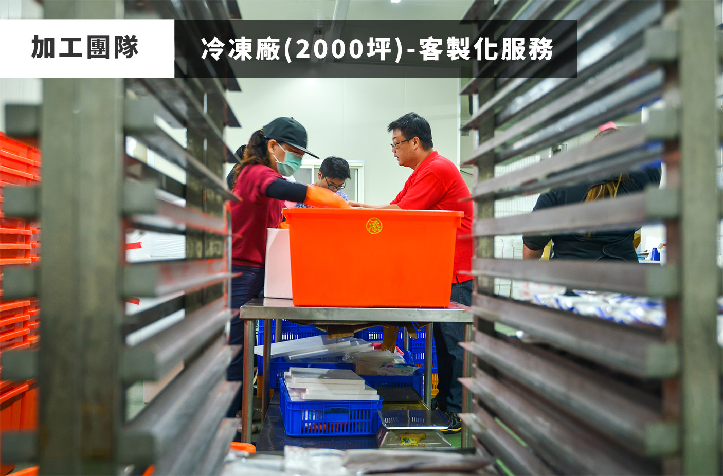 天時福冷凍食品有限公司國際站 提供天時福專業養殖,天時福水產加工,天時福冷凍加工