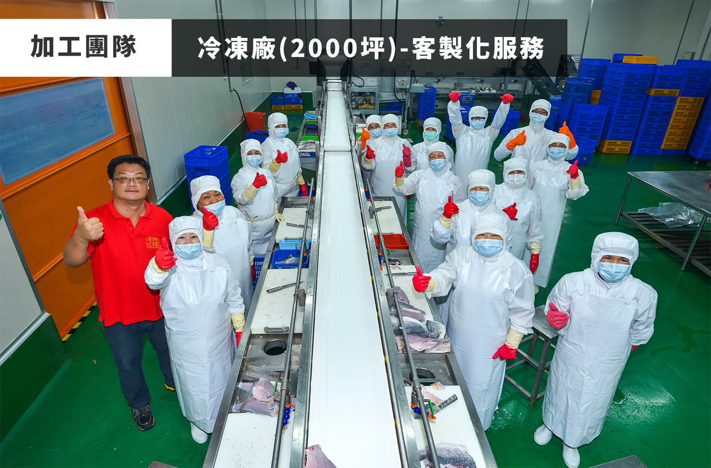 天時福冷凍食品有限公司國際站 提供天時福專業養殖,天時福水產加工,天時福冷凍加工