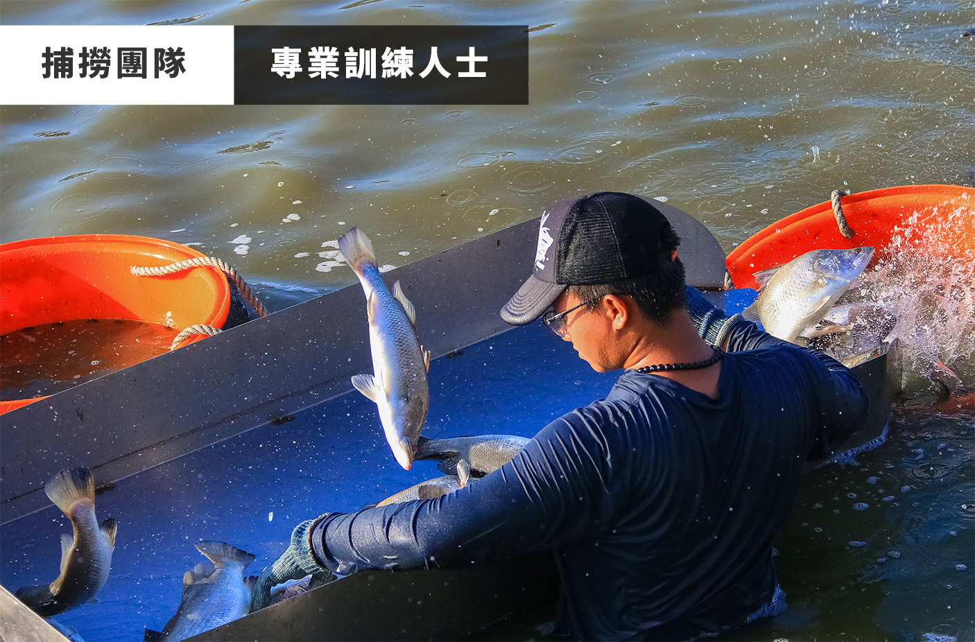 天時福冷凍食品有限公司國際站 提供天時福專業養殖,天時福水產加工,天時福冷凍加工