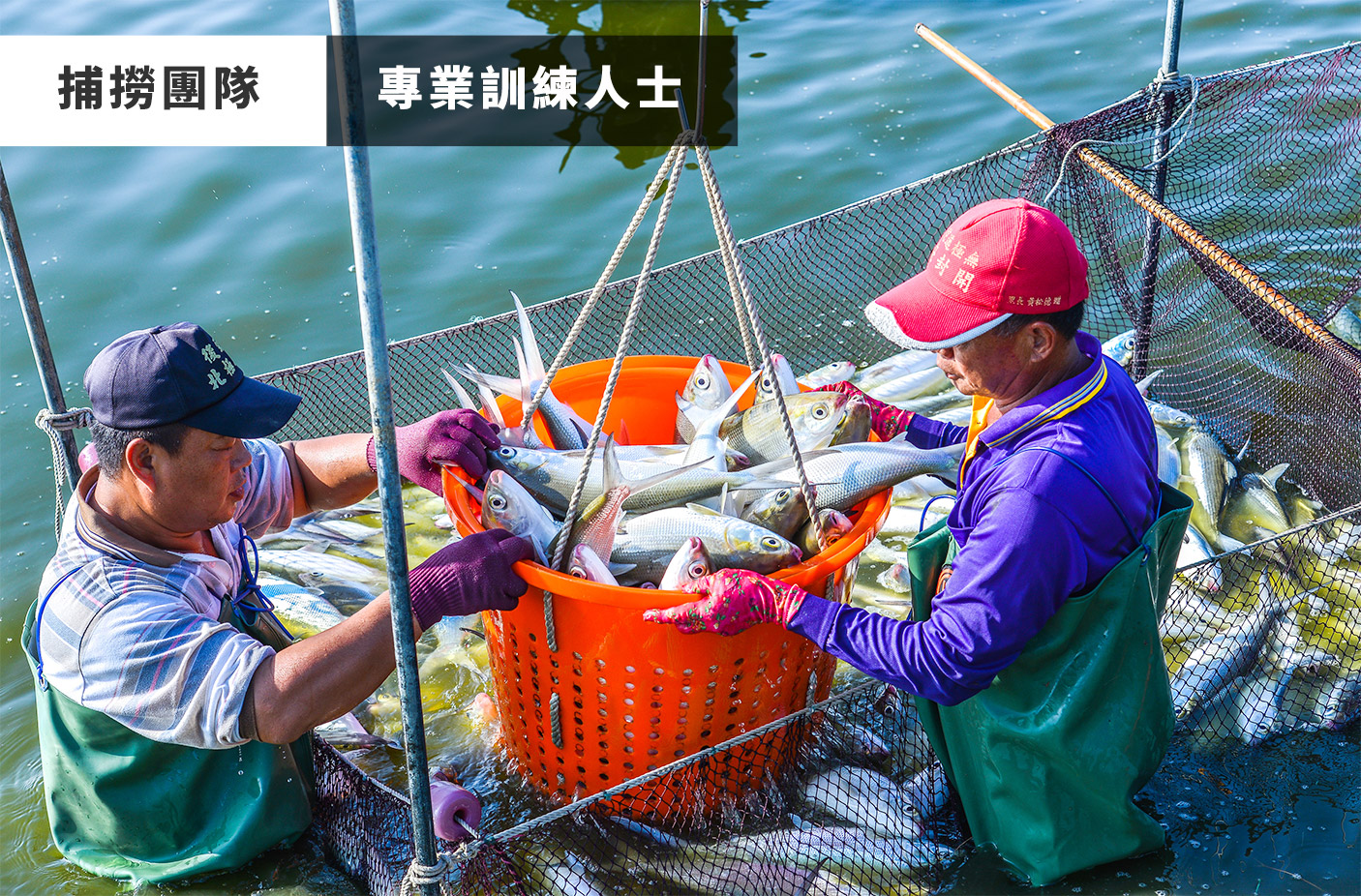 天時福冷凍食品有限公司國際站 提供天時福專業養殖,天時福水產加工,天時福冷凍加工