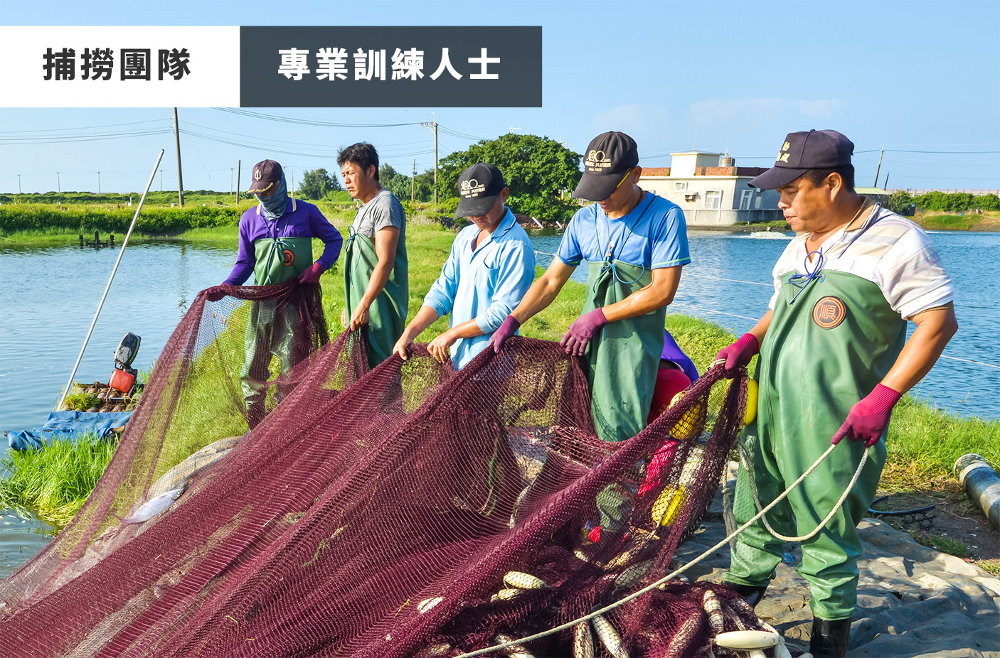 天時福冷凍食品有限公司國際站 提供天時福專業養殖,天時福水產加工,天時福冷凍加工
