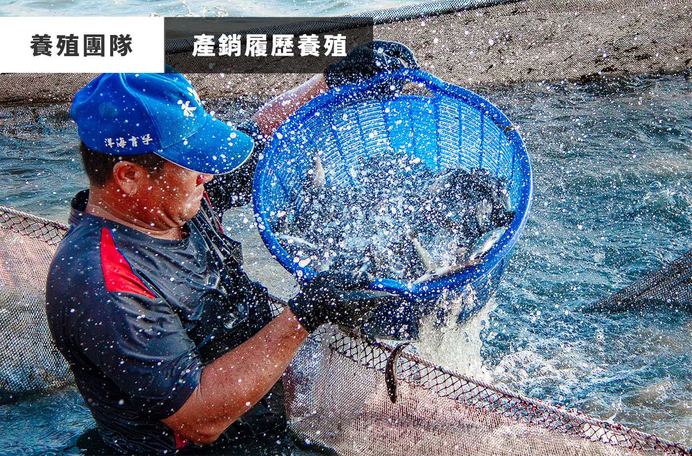 水產網購,水產宅配,水產批發,水產海鮮,水產網購推薦