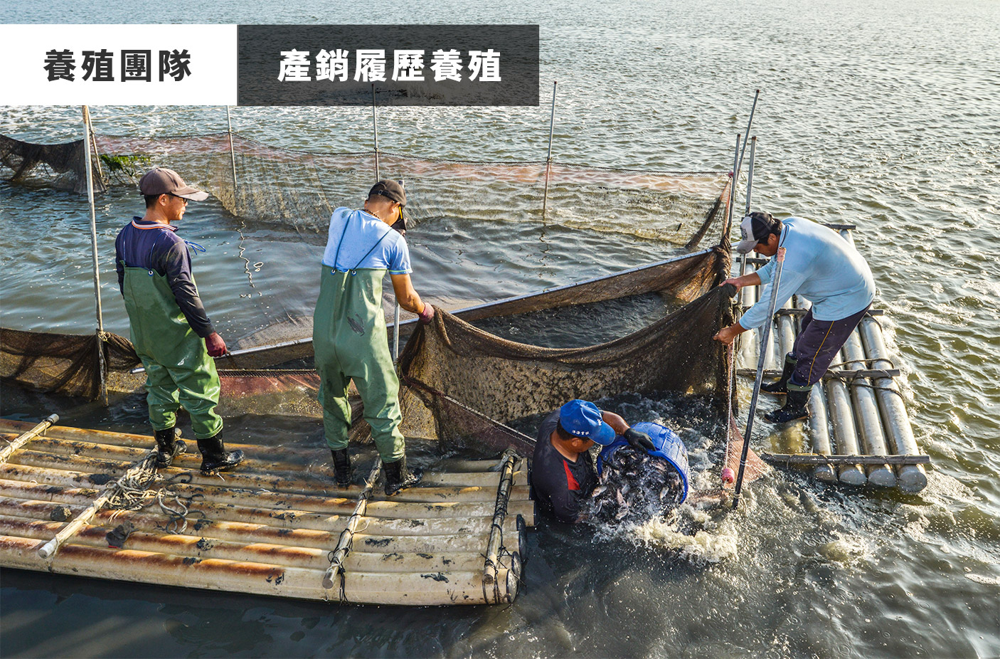 水產網購,水產宅配,水產批發,水產海鮮,水產網購推薦